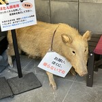 ぼたん鍋専門店 ぼたん亭 - 