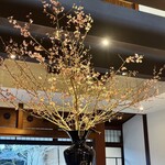 モトイ - この日のランチは「旬のコレクション」というコース。