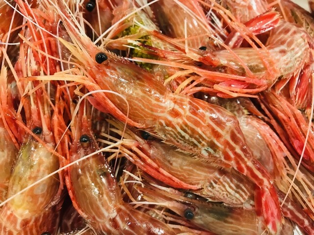 Sake Ariki Sakana Yoichi photo 3