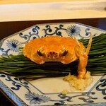 日本料理 すぎ多 - 