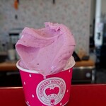 しずの苺園 直売所 - 