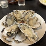 ラーメン 達磨食堂 - 