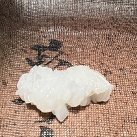 おたる政寿司 新宿店 - 