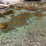 手打そば 時屋 - 