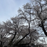 ひつまぶし 備長 本店 - 