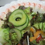 砂の栖 - 胡瓜のタネを取っている繊細さ