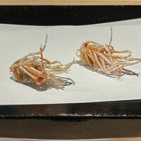 天ぷら たなか - 