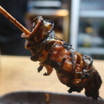 かぶと - 天然ヒレ