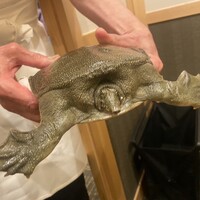 すっぽん ふぐ 日本料理 新宿あぐら屋 - 