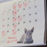 長崎ちゃんぽん・皿うどん 球磨 - 