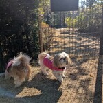 エクシブ湯河原離宮 - 