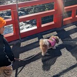 エクシブ湯河原離宮 - 