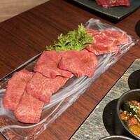 赤羽 友星 - 