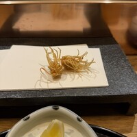 天 よこた - 