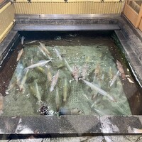 博多料亭 稚加榮 - 