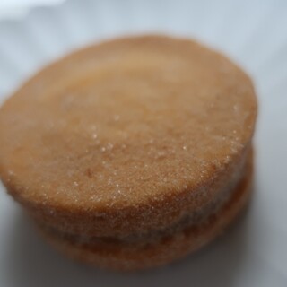 BROWN CHEESE BROTHER_1