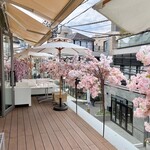 HAUTE COUTURE CAFE OMOTESANDO - 