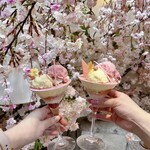 HAUTE COUTURE CAFE OMOTESANDO - 