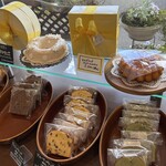 フレッシュグリーン - 