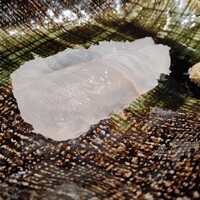 鮨 きよし - 