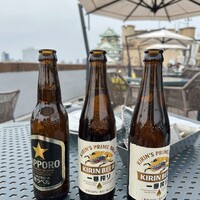 BLUE BIRDS ROOF TOP TERRACE - 