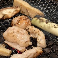 みやび 六本木店 - 