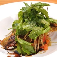 ■おまかせコース…6600円～