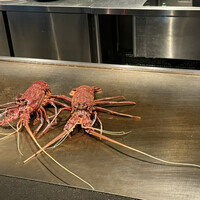 TEPPANYAKI 10 SHIBUYA - 