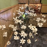 酒肴や 又左衛門 - 