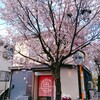 四季膳 ほしや - 