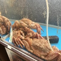 かに道楽 新宿本店 - 
