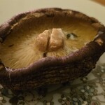 うのはな離れ 菜の花 - 