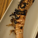 うのはな離れ 菜の花 - 