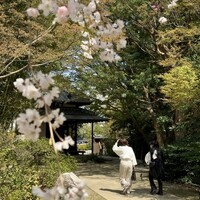 高宮庭園茶寮 - 