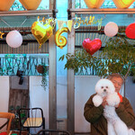 エビスエスクラッシコ - Happy 6th B'day!!