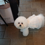 エビスエスクラッシコ - お手伝いはできませんが・・