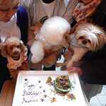 アーコもたくさん食べてネ！