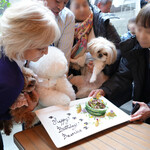 エビスエスクラッシコ - ビーフ・ケーキの登場〜♬