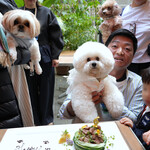 エビスエスクラッシコ - 言われても・・