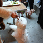 エビスエスクラッシコ - ラスト・ピースはママから