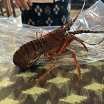 相差かまど - 