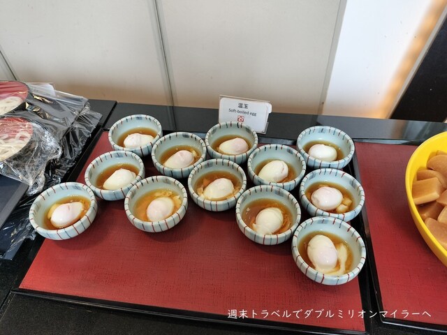 Shokusai Chubo Jardin