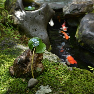 京・富小路 天ぷら吉川_2