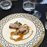 クイントカント - 