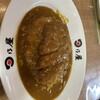 日乃屋カレー 蒲田店