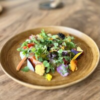 ヴィラ・デラ・パーチェ - 