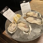 ガンボ＆オイスターバー - 真牡蠣4Pプレート