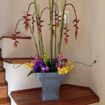 お宿　木の葉 - 生花☆ディスプレイ