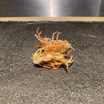 天ぷらあら木 - 