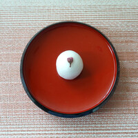 葉山 日影茶屋 - 桜花塩漬け on top!!　